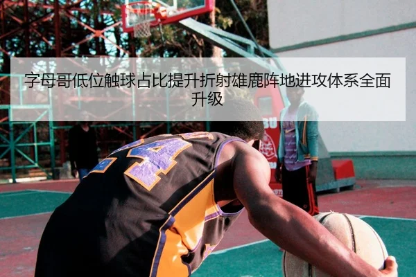 字母哥低位触球占比提升折射雄鹿阵地进攻体系全面升级